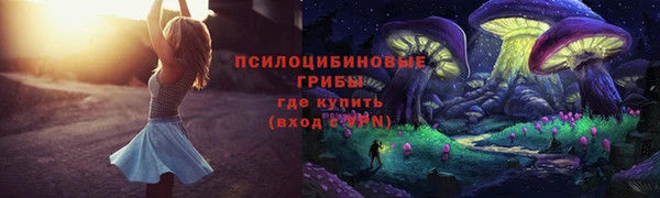 таблы Алзамай