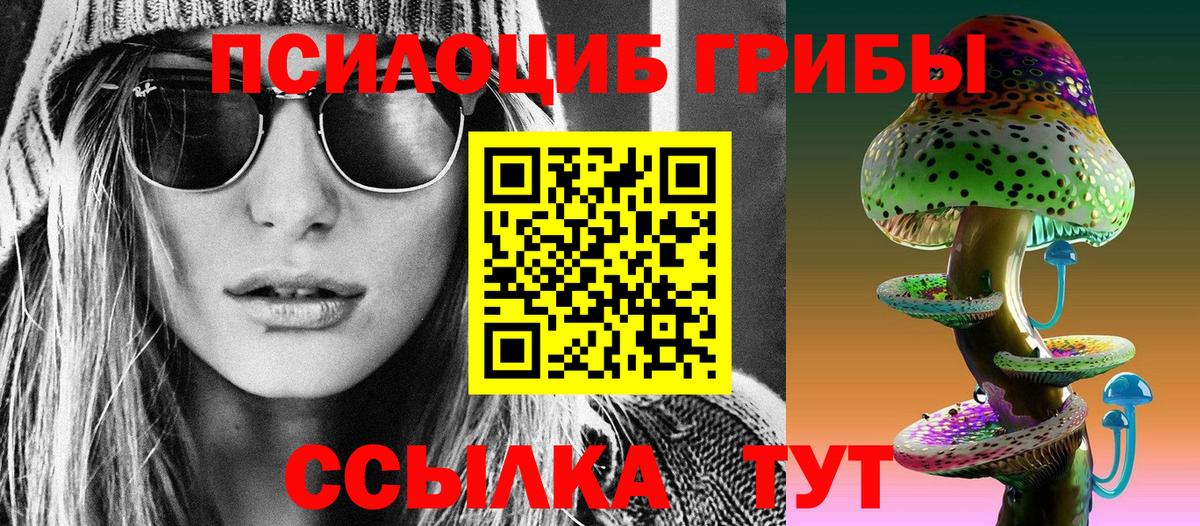 Псилоцибиновые грибы GOLDEN TEACHER Похвистнево
